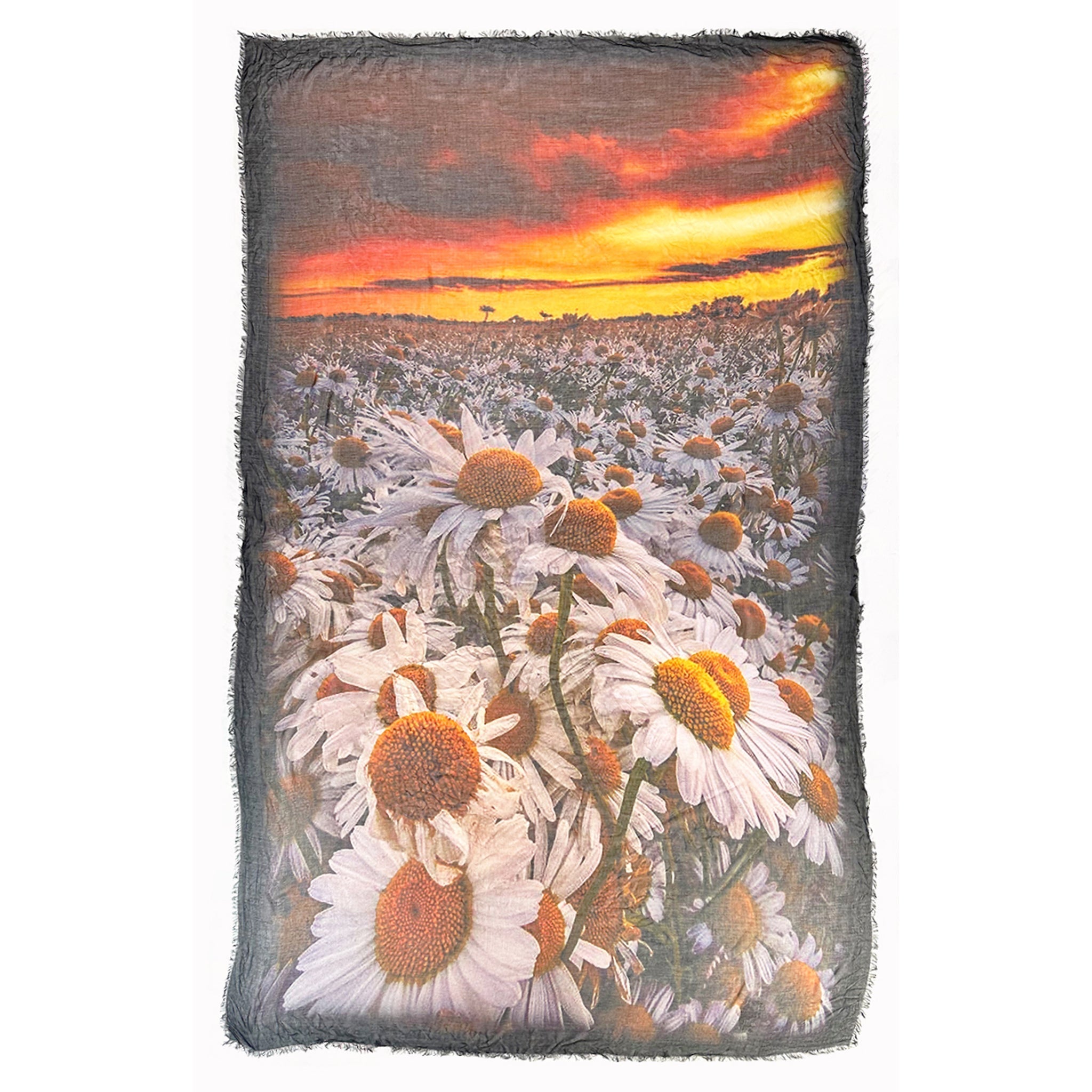 Dusk & Daisies Scarf