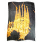 Vintage Locale & Vintage Map Scarf Collection